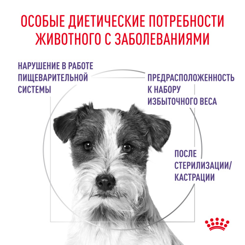 Royal Canin NEUTERED ADULT SMALL DOGS корм сухой для взрослых стерилизованных собак мелких пород - 800 г.