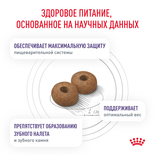 Royal Canin NEUTERED ADULT SMALL DOGS корм сухой для взрослых стерилизованных собак мелких пород - 800 г.