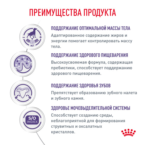 Royal Canin NEUTERED ADULT SMALL DOGS корм сухой для взрослых стерилизованных собак мелких пород - 800 г.