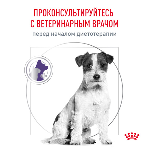 Royal Canin NEUTERED ADULT SMALL DOGS корм сухой для взрослых стерилизованных собак мелких пород - 800 г.