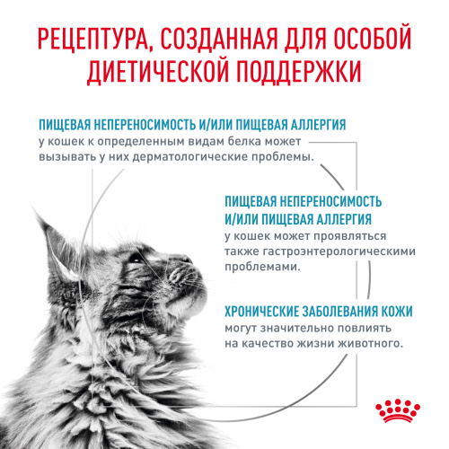 Royal Canin ГИПОАЛЛЕРГЕНИК корм ​​сухой для взрослых кошек при диетическом взгляде., 500 г.