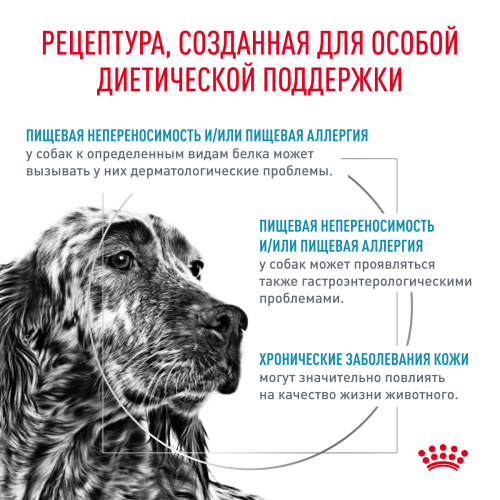 Royal Canin HYPOALLERGENIC корм ​​сухой для взрослых собак при пищевой аллергии - 2 кг.