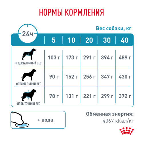 Royal Canin HYPOALLERGENIC корм ​​сухой для взрослых собак при пищевой аллергии - 2 кг.
