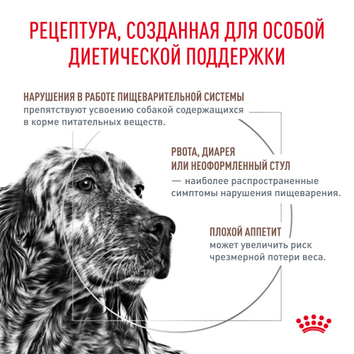 Royal Canin GASTROINTESTINAL (ГАСТРОИНТЕСТИНАЛ) корм ​​сухой для взрослых собак при расстройствах пищев., 2 кг.