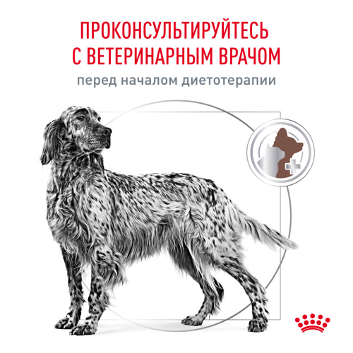 Royal Canin GASTROINTESTINAL (ГАСТРОИНТЕСТИНАЛ) корм ​​сухой для взрослых собак при расстройствах пищев., 2 кг.