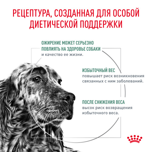 Royal Canin SATIETY WEIGHT MANAGEMENT корм ​​сухой для собак для снижения веса - 1,5 кг.