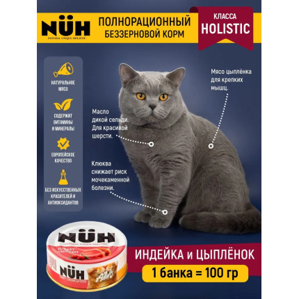 onugk93kv2alvy8i4bpjoipdksc6qhsg.webp